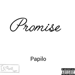 Promise