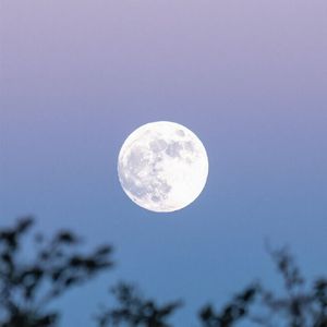 归帆逐梦随云去