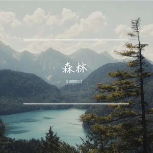 森林鸟语古典静谧乐章