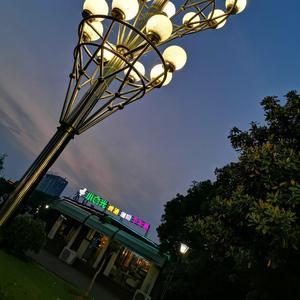 爱你就像做梦一样