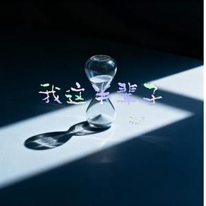 我这半辈子