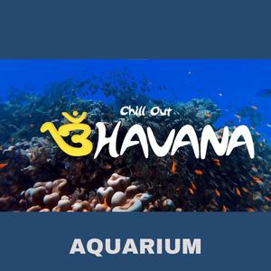 Aquarium