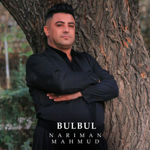 Bulbul