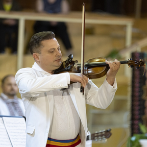 Sârba Bătrânilor