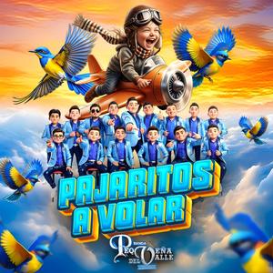 PAJARITOS AL VOLAR