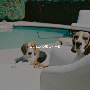 Heavenly Trumpet Jazz Trio - Vibe for Soothing Ballads