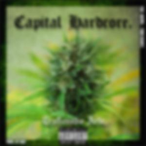 Yipi Yipi You (feat. Yuko Bluntz & Straight G! CPT)