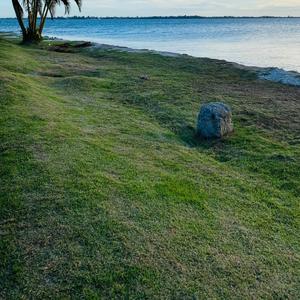 너는 내 집, 내 천국