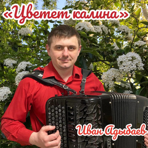 Цветет калина