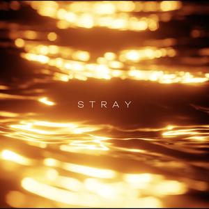 Stray