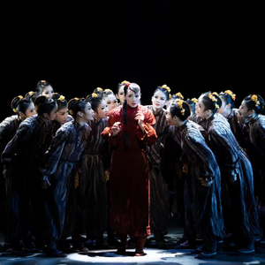 第十四节荷花奖《冰凌花》.wav