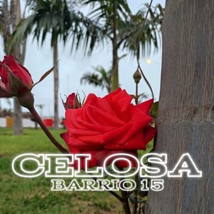 Celosa
