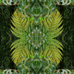 Reverdecer (feat. Sebastián Cabezas)