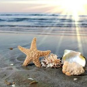 找个天使替我爱你 (烟嗓版)