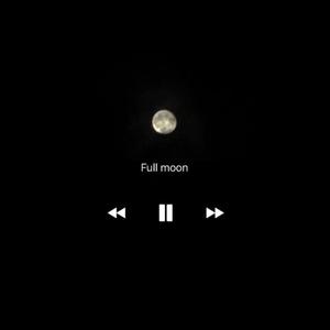 如何不再让我去想你（翻自 井迪儿）