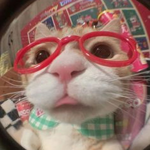 ALL I CAN TAKE (sped up)