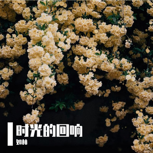 时光的回声