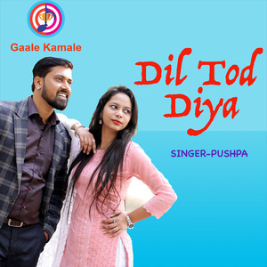 Dil Tod Diya