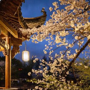 《春之颂·宋韵三叠》男中音与交响乐队