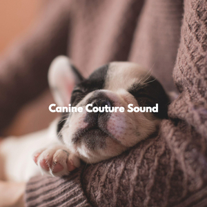 Fabulous (Happy Dogs)