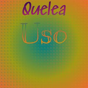 Unsatisfactory History