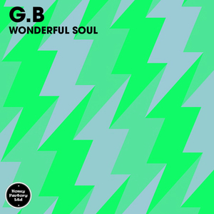 Wonderful Soul (Extended Mix)
