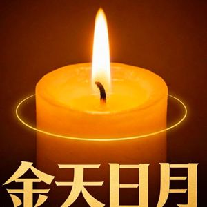 重生之到达晨曦岛