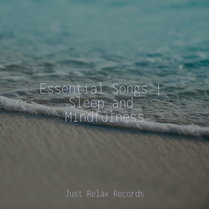 Melodic Soaring Sonata