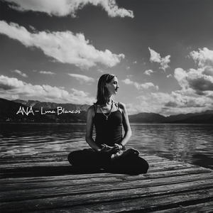 El Lenguaje de lo Lento