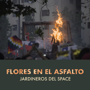 Flores en el asfalto