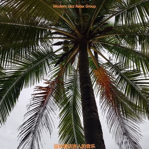 适合旅馆柔软的音乐