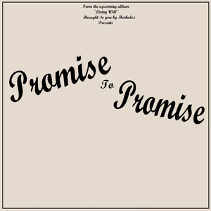 Promise To Promise