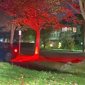 PLUViOPHiLE. (feat. lone & Cambermixedit)