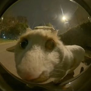 晨光里的旧书店