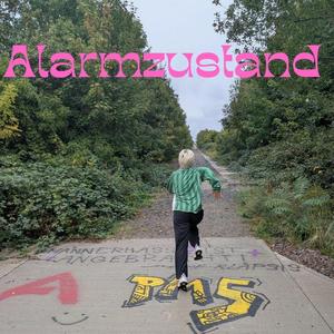 Alarmzustand