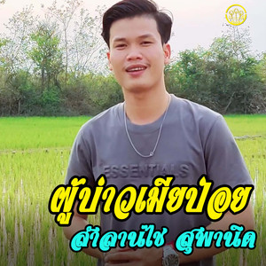 ผู้บ่าวเมียป่อย