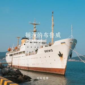 搁浅的布鲁威斯号呀