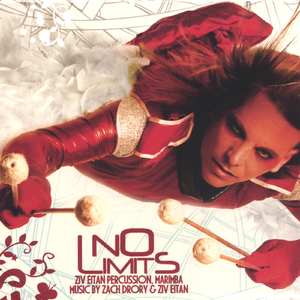 The Jocker (Mister Music Man)