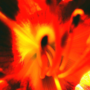 MU (Paduraru Aerobic House Gymnastic Song Floor Music)