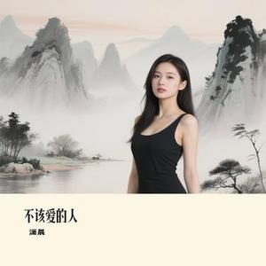 不该爱的人 (Remix)