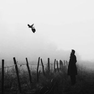 绝对压制这一块