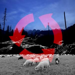 wszystkie rzeki wyschły