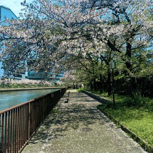 霓虹