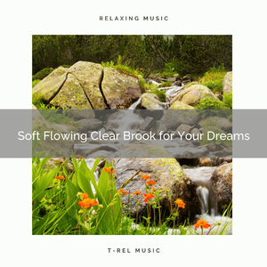 Soft Whisper and the Goddess of Flowing Natural Water of Life