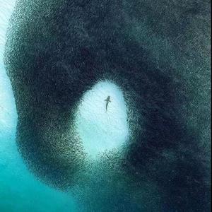 【FREE BEAT】侠盗猎车west coast