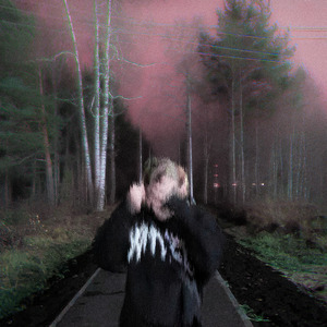 Социализация