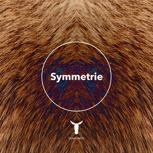 Symmetrie