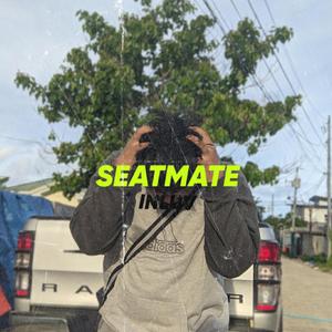 Seatmate Inluv