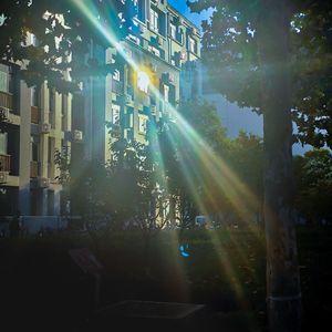 第三人称1732003067606