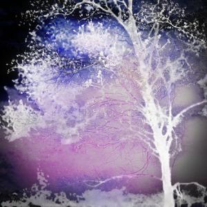 我的鲜活和有趣开始变老